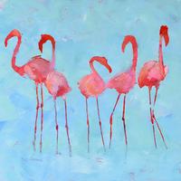 Sarah Elizabeth France, Flamingoes