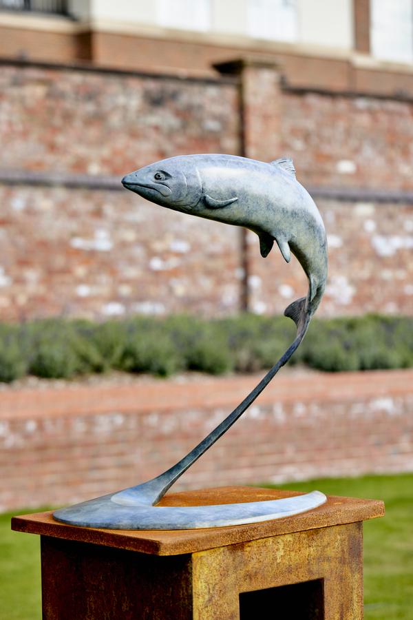Leaping Salmon Image 2