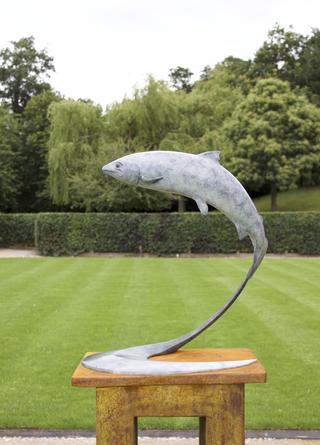 Leaping Salmon Image 3