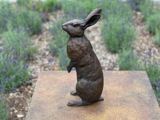 Rabbit Image 1