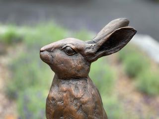 Rabbit Image 4